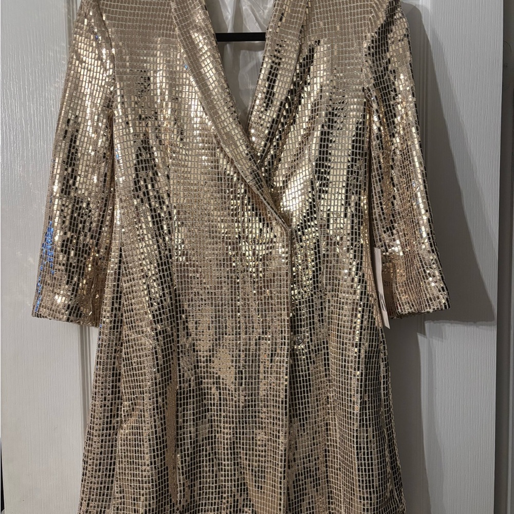 Zara Shimmering Gold Midi Dress